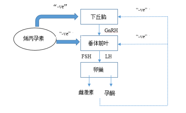 给药吸收后与特定的受体结合,从而降低体内促性腺激素(lh和fsh)的浓度